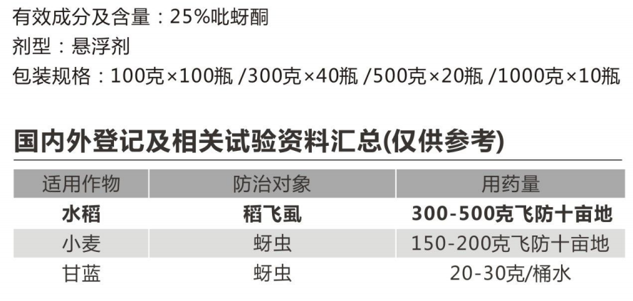 巧至乐