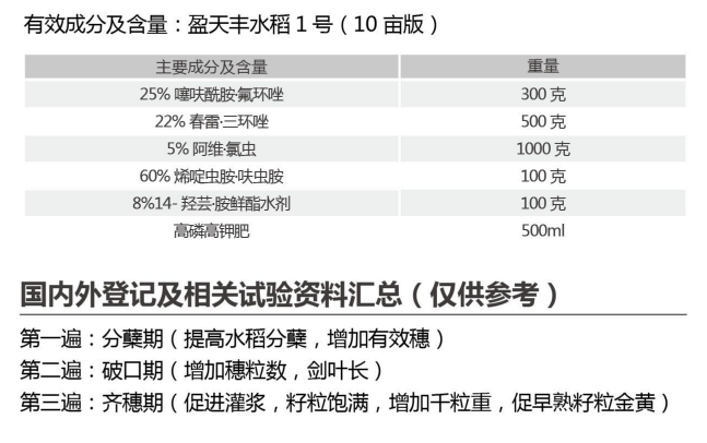 盈天丰水稻1号